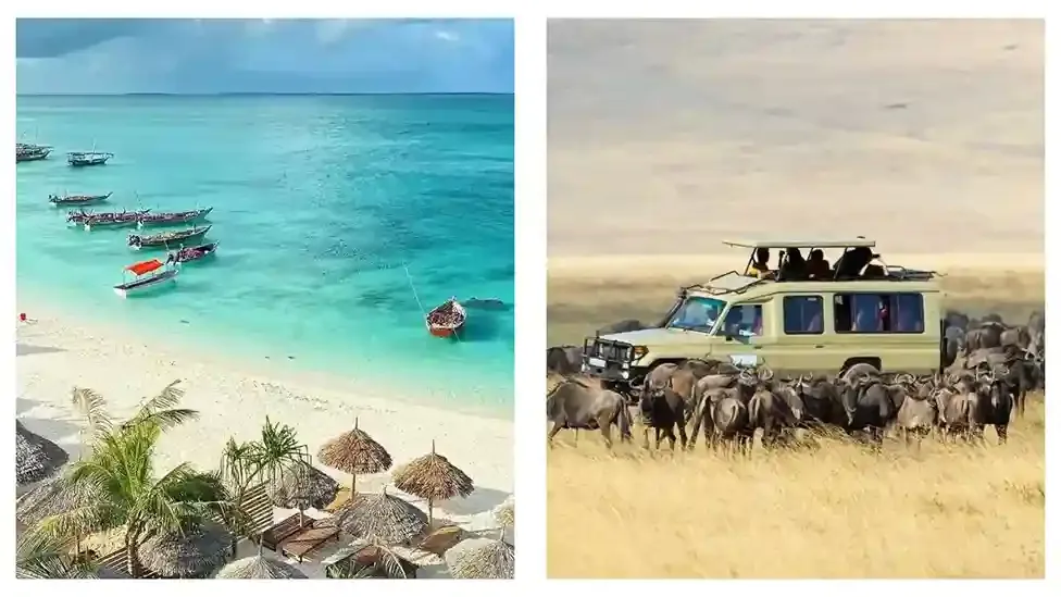 5 jours Mikumi de Zanzibar Safari