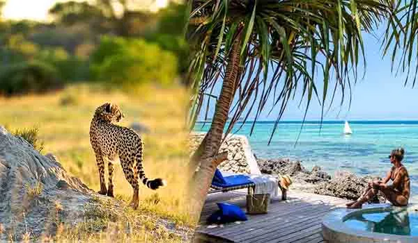 Zanzibar Safari & Beach Combo