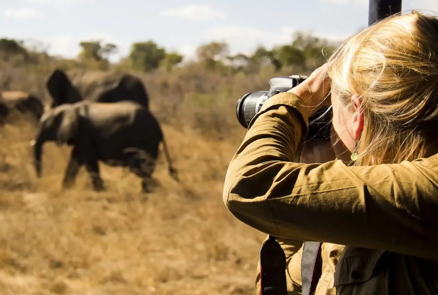 Tour de photographie de la faune de 7 jours à Serengeti & Ngorongoro