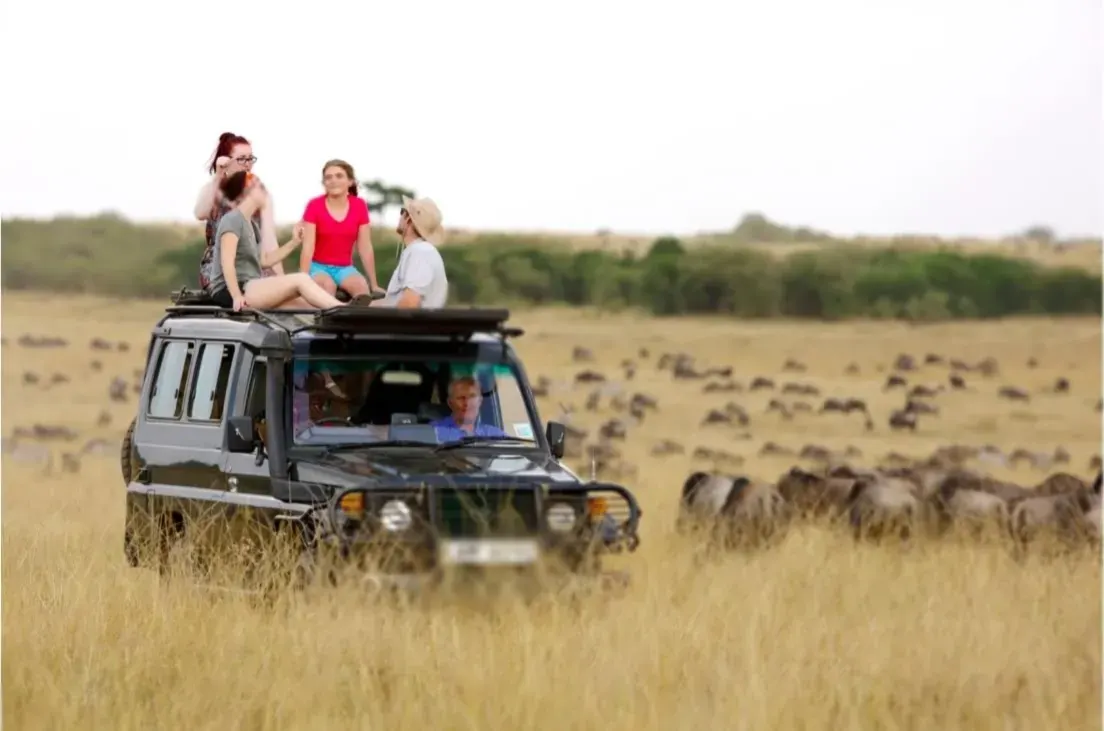 Groupe rejoignant Safari dans le parc national de Tarangire
