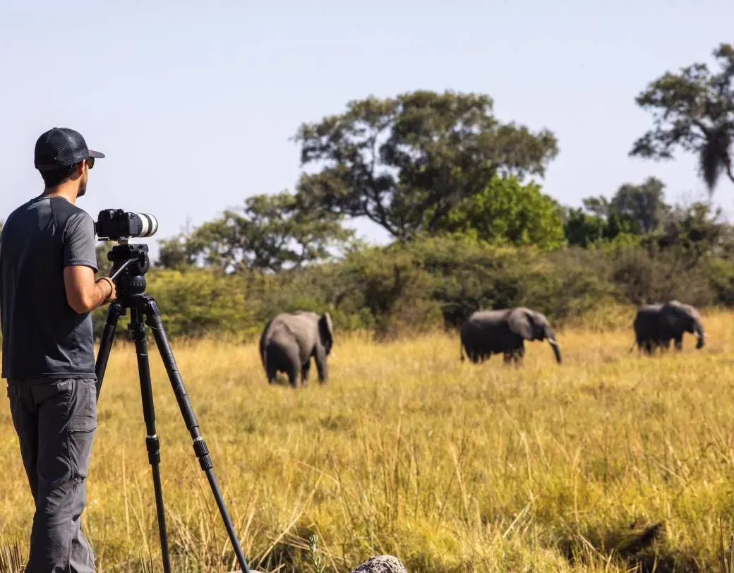 Tanzania Photography Safari Tour Packages