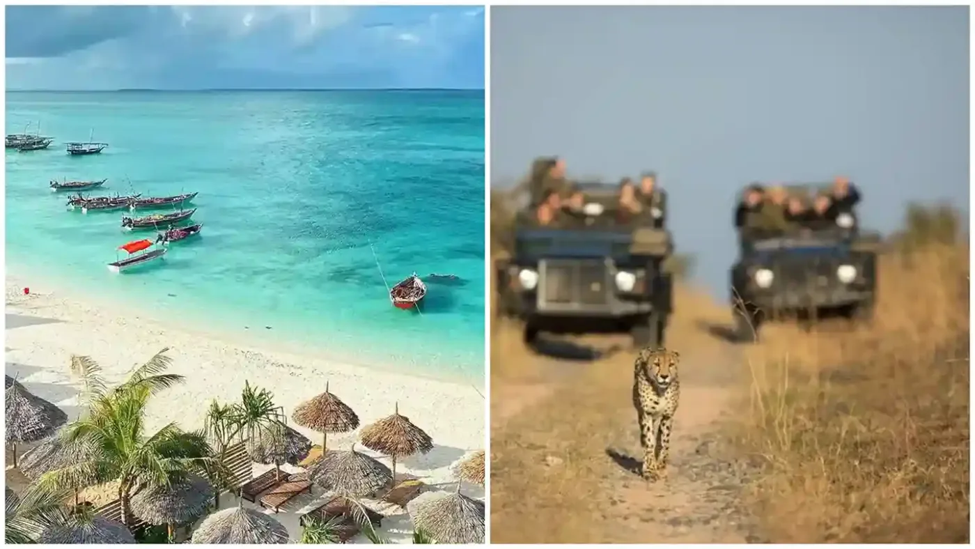 Ultimate Luxury Luxury Tanzania Safari & Zanzibar Beach