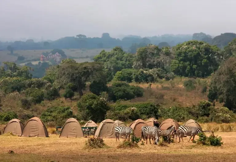 Ultimate Tanzania Camping Safari Adventure