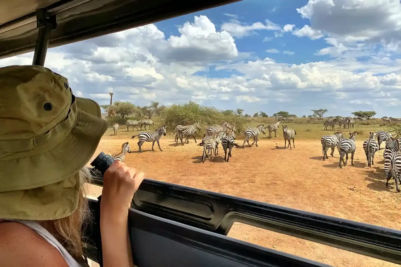 Un circuit nord ultime de 10 jours rejoignant safari