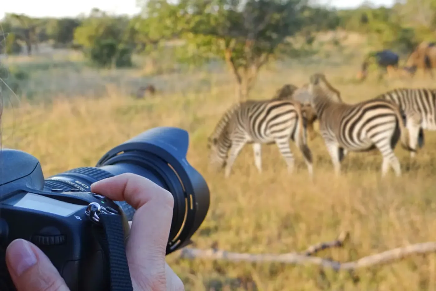SAFARI PRIVÉ PRIVÉ 8 jours: Serengeti, Ngorongoro, Tarangire & Lake Manyara
