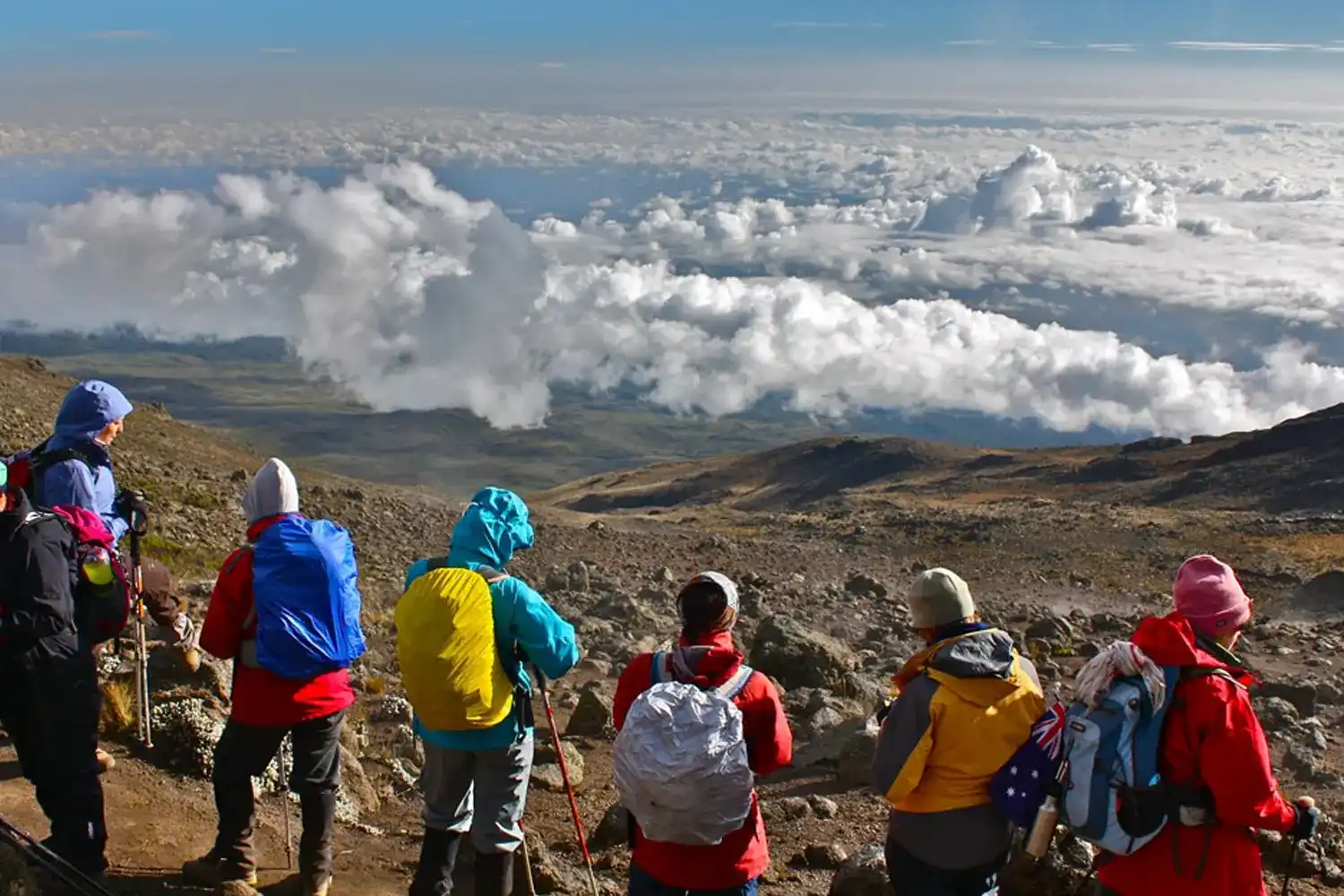 Climbing Kilimanjaro via Northern Circuit Route