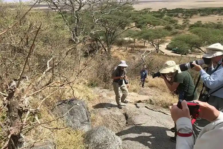 Packages de safari de camping en Tanzanie