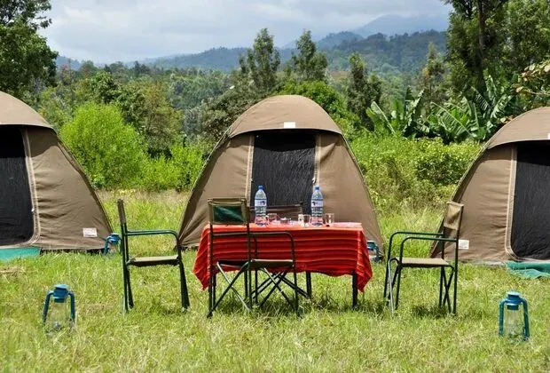Expérience de safari en camping à Serengeti