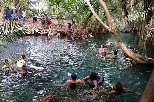 Forêt tropicale de Chemka Hot Springs