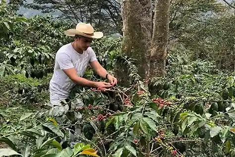 Cascades materuni dans la forêt tropicale luxuriante