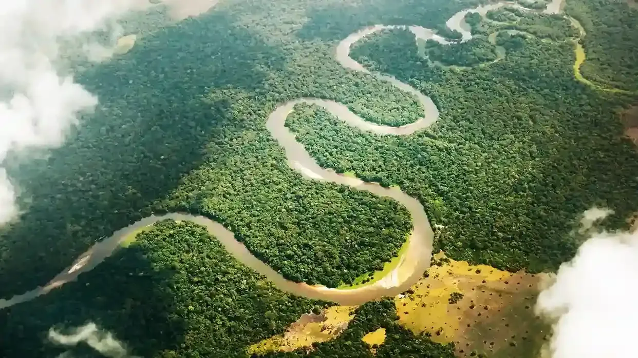 Odzala-Kokoua gorillas, Congo River, Brazzaville skyline and rainforest canopy – Republic of the Congo travel guide 2026-2027
