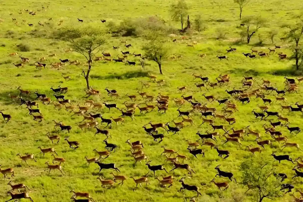 Boma National Park migration, Sudd wetlands, White Nile, tribal cultures – South Sudan travel guide 2026-2027