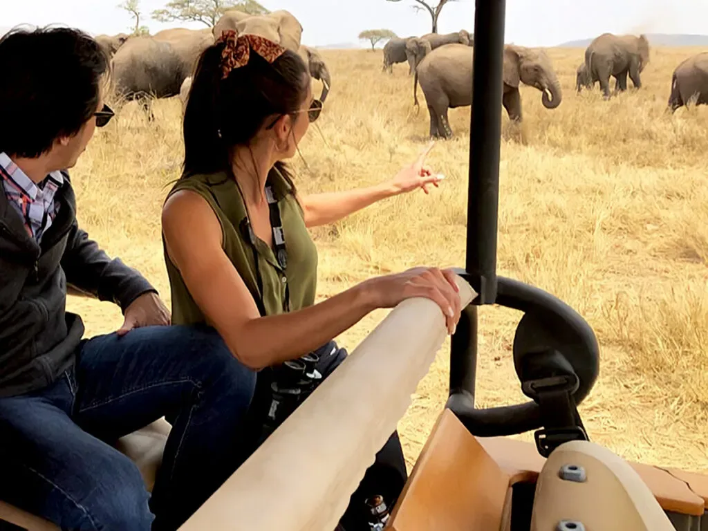 Couple profitant d'un lecteur de safari privé à Serengeti
