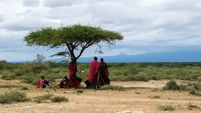 Best Tanzania Day Trips Meilleures excursions d'une journée en Tanzanie