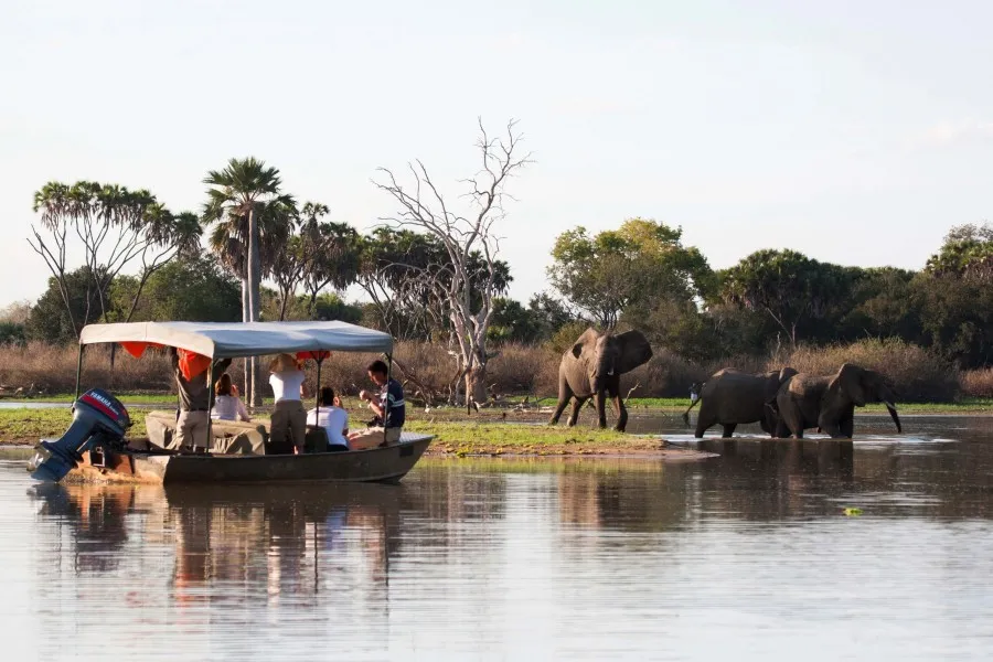 SAFARIS ET COSE DE TANZANIE EST