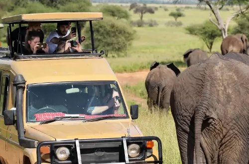 Best Tour Operator in Tanzania