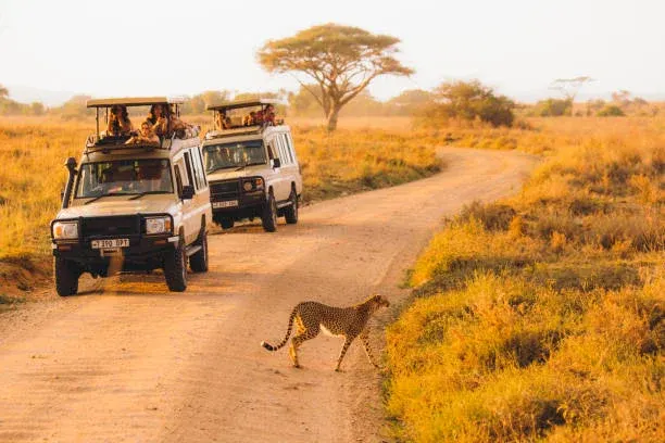 Rejoignant à 3 jours safari en Tanzanie