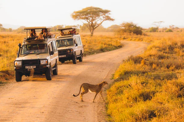 Lush Serengeti landscapes during March off-season safari