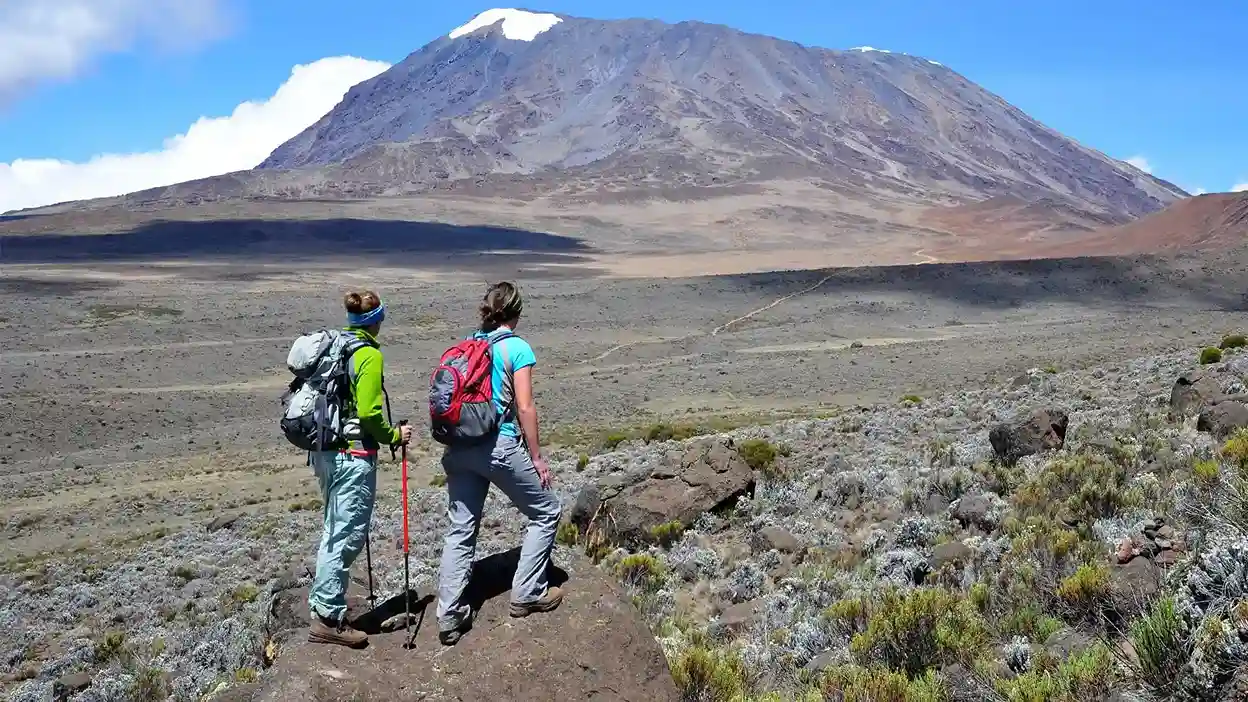 Kilimandjaro Shira Plateau Randonnée