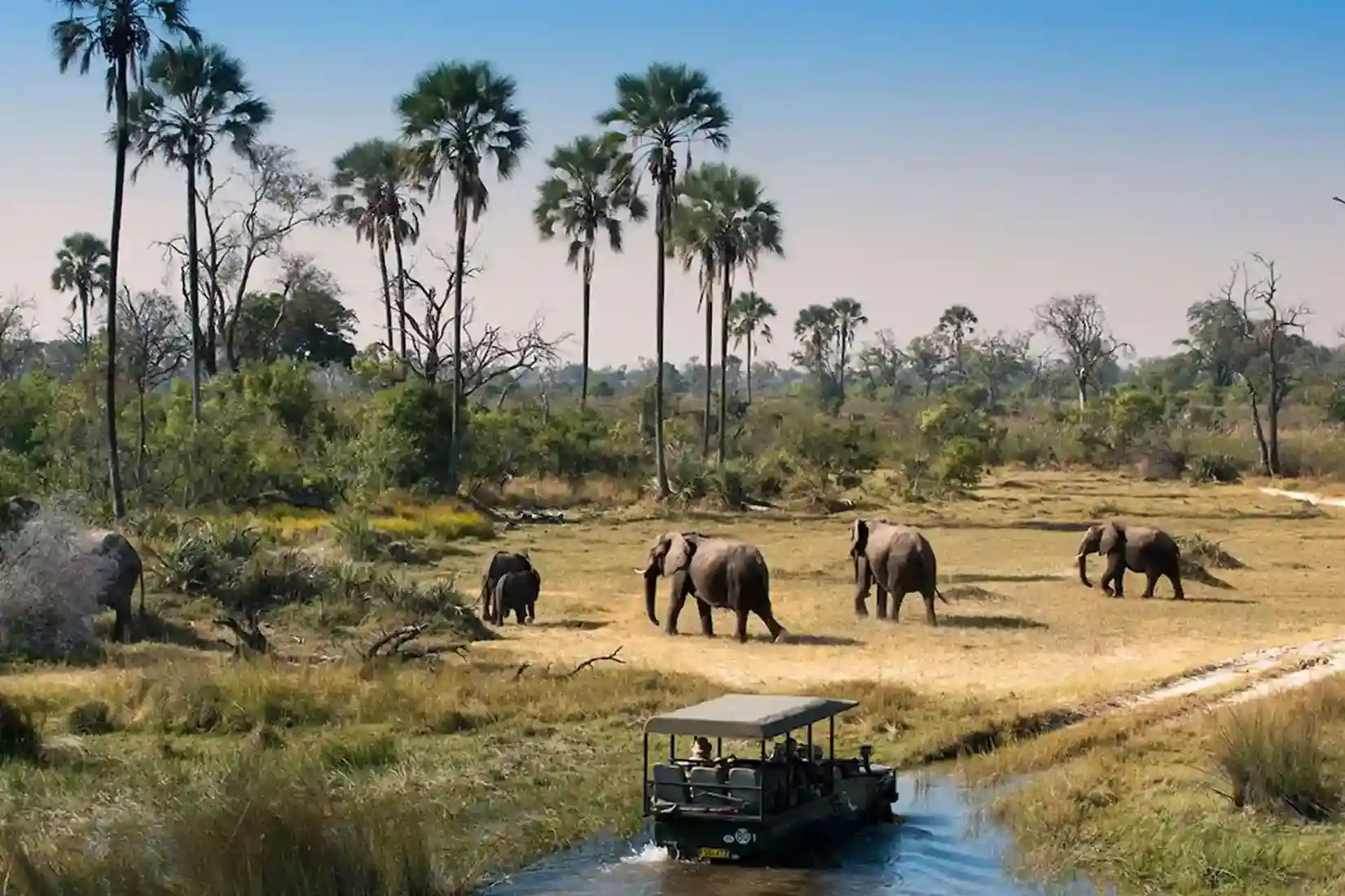 Katavi National Park Safari