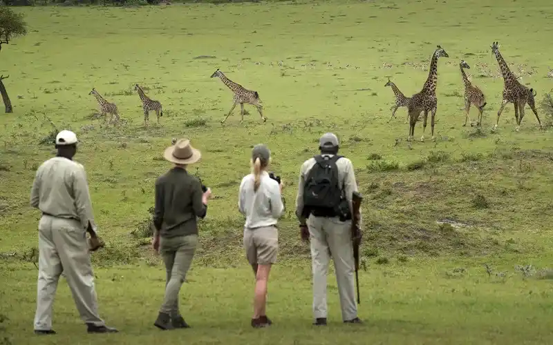 Safari à pied à Katavi