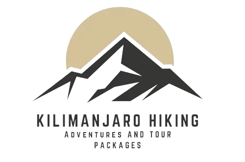 Best Tour Operator in Tanzania