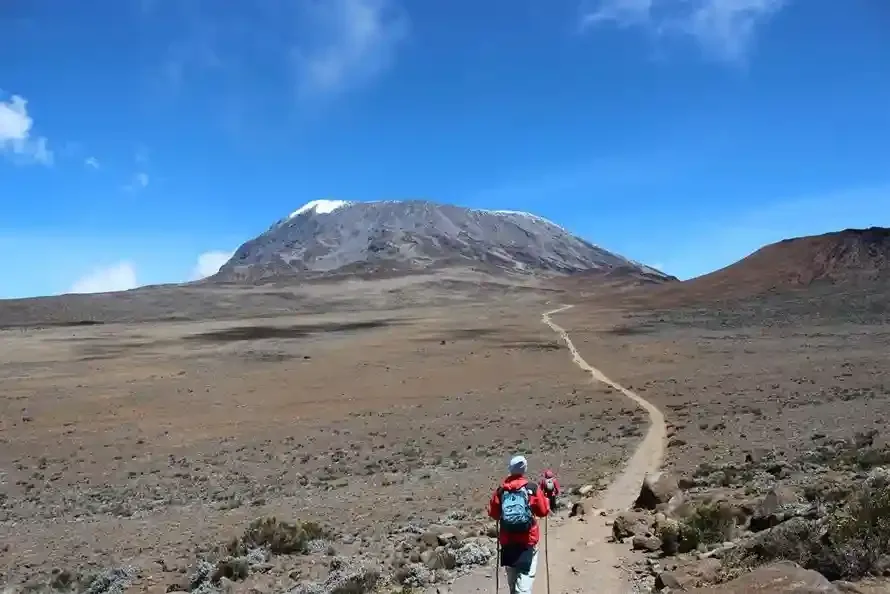Trekkers on Mount Kilimanjaro, showcasing diverse climbing routes and stunning scenery