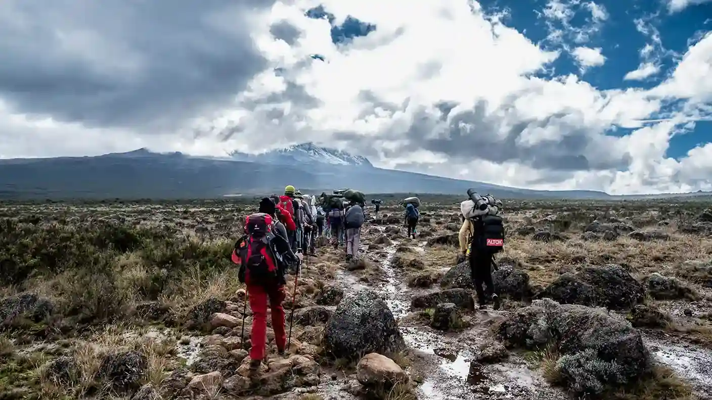 Montée de l'itinéraire Lemosho de 7 jours