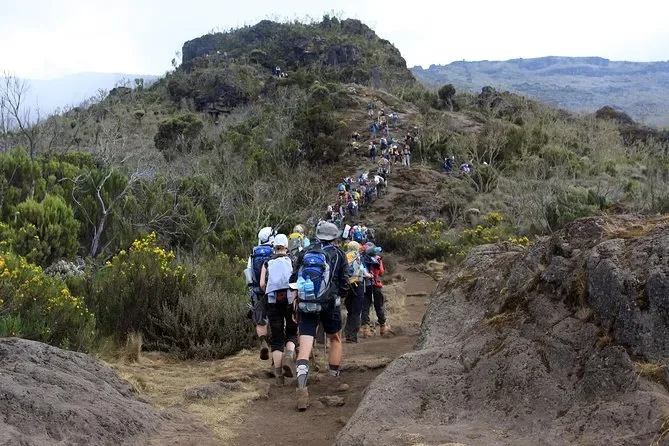 Rejoignant à 3 jours safari en Tanzanie