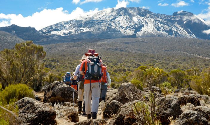 Machame Route Kilimanjaro climbing trail with trekkers hiking toward Uhuru Peak