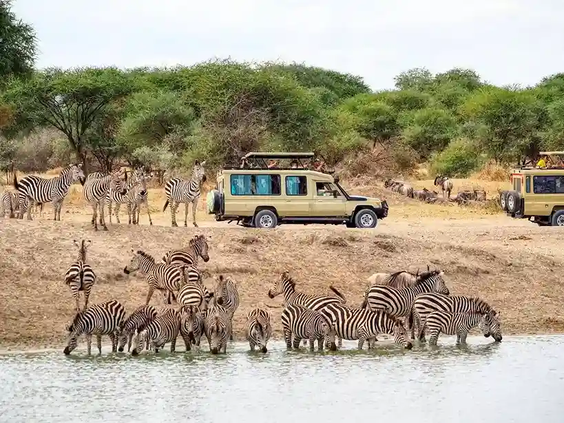 Tarangire National Park Day Trip