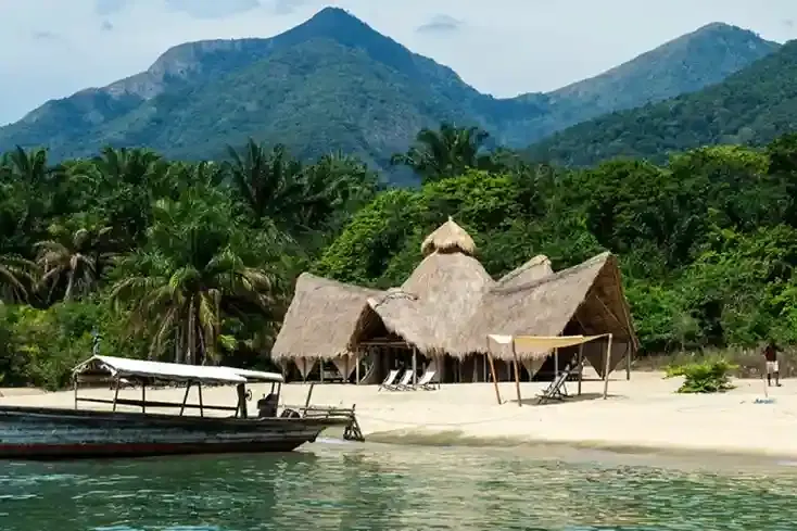 Forfaits de safari des montagnes Mahale