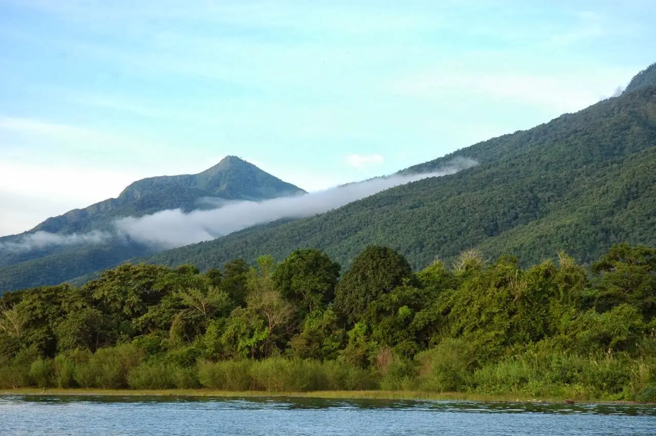 Trekking du chimpanzee Mahale