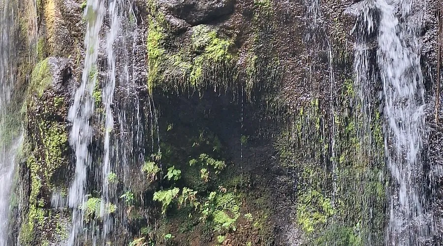 Scenic Kilimanjaro foothills landscape on the Mailisita Waterfall hiking trail near Moshi