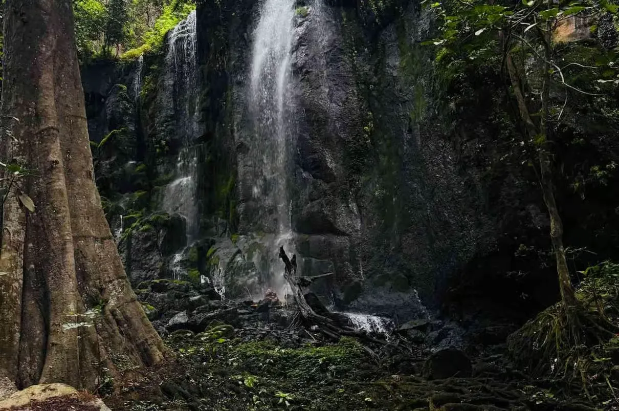 Mailisita Waterfall cascading into a natural swimming pool in the Kilimanjaro foothills