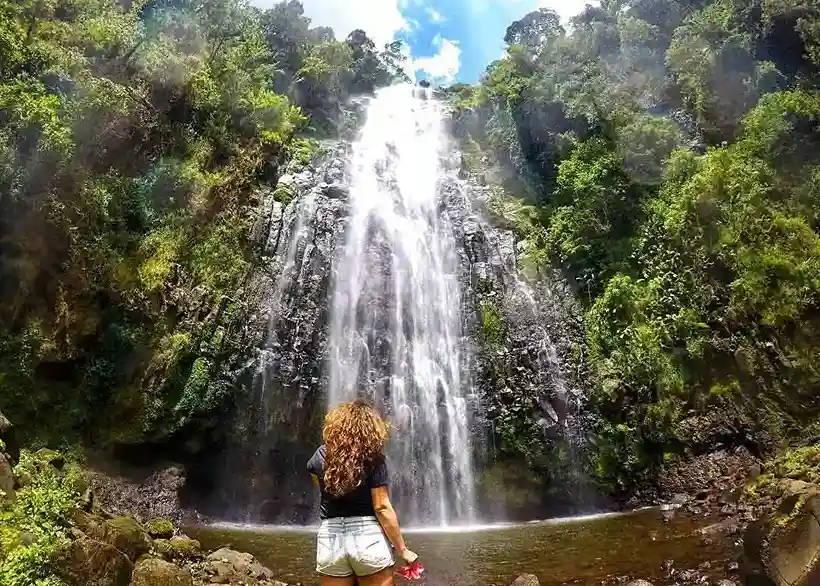 Visite de la cascade de materuni et de la ferme de café