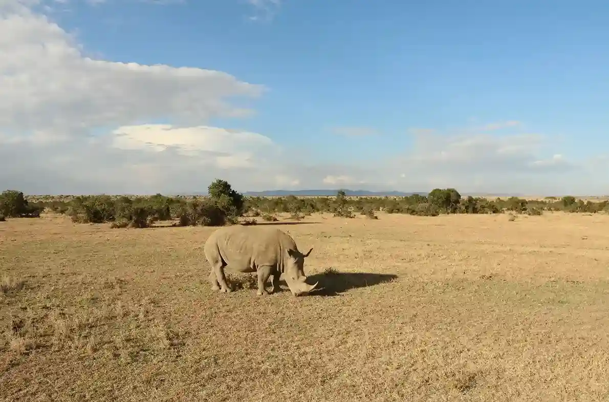 Voyage de la journée du parc national de Mkomazi