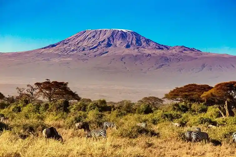 Fun facts about Mount Kilimanjaro