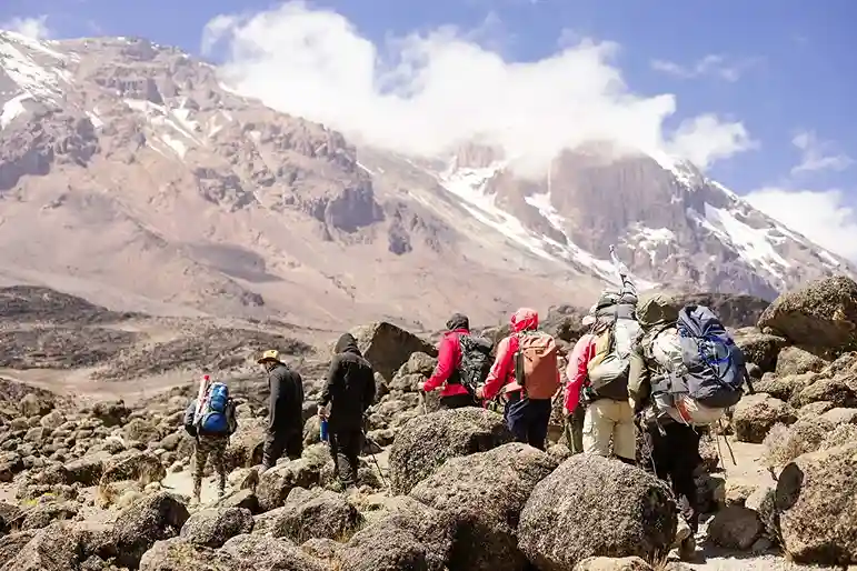 Trekking on Mount Kilimanjaro