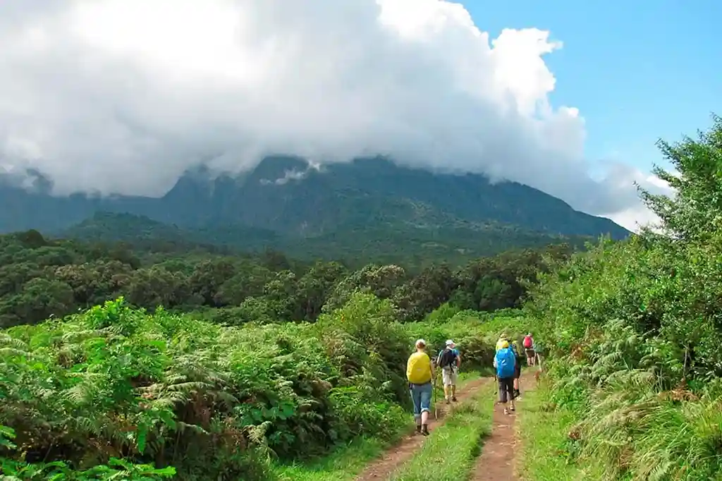 Vue du mont Meru du parc national d'Arusha