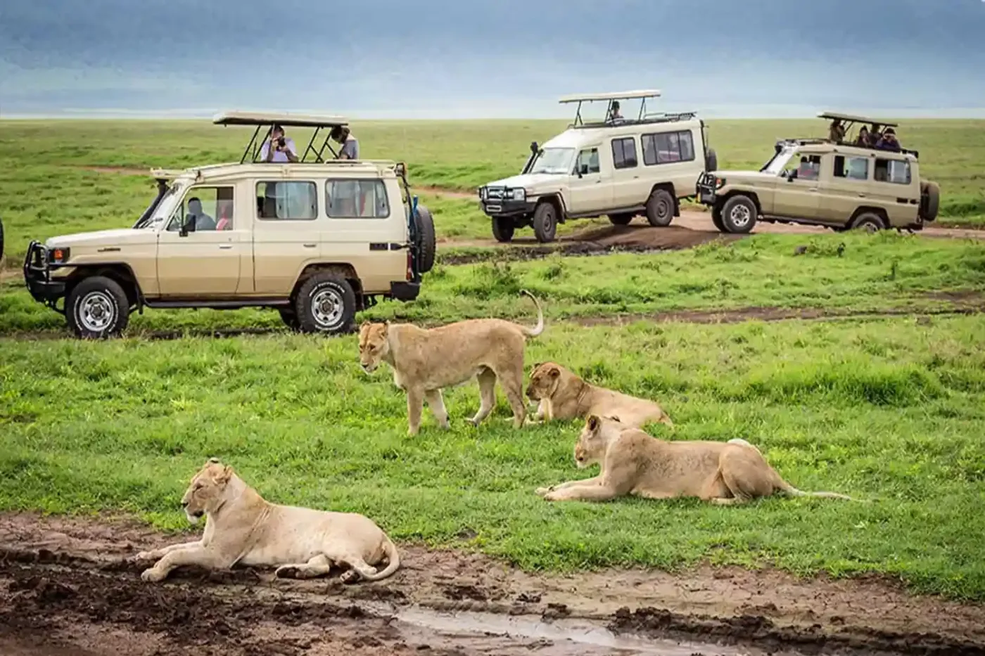 Rejoignez de 5 jours SAFARI - Tarangire, Serengeti, Ngorongoro & Lake Manyara