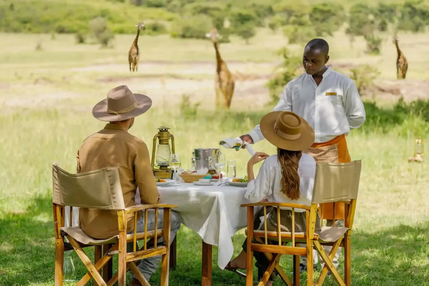 Idiot des zèbres dans le parc national de Tarangire