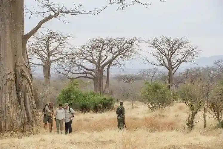 Safari du parc national de Ruaha à 3 jours