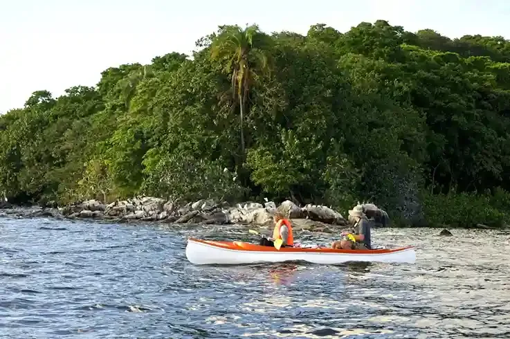 SAFARI D'OIFFICATION DU RESTAGE GUIDE SUR Rubondo Island