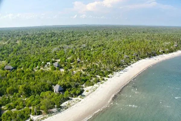 Top Tanzania Eastern Safaris Packages Top Tanzania Eastern Safaris Packages