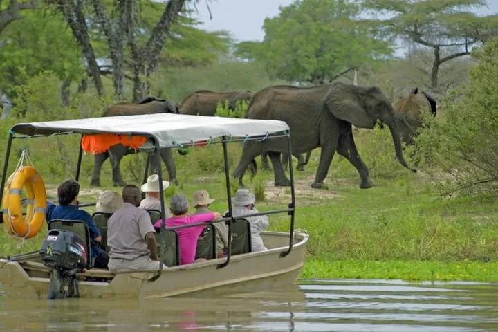 Saadani National Park Safari Saadani National Park Safari