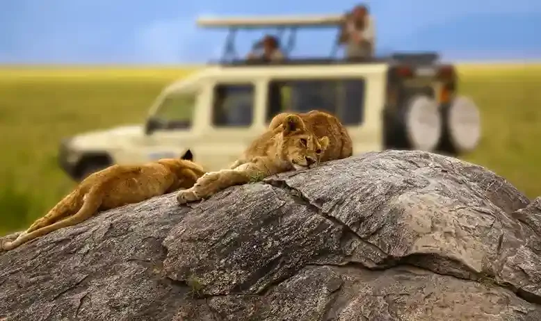 Tanzania Southern Safaris Packages 2025 Tanzania Southern Safaris Packages 2025