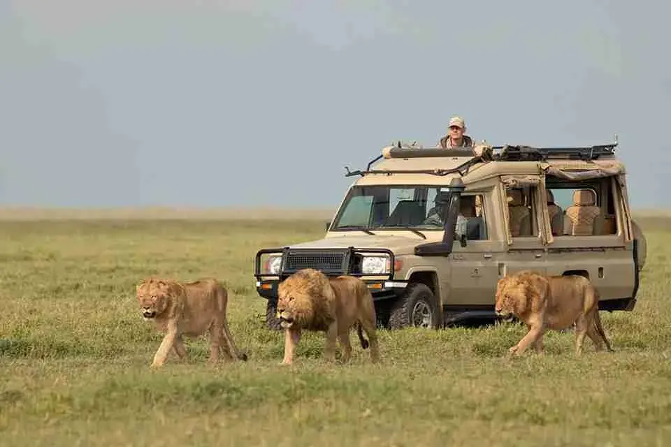 Safari en camping en Tanzanie de 5 jours