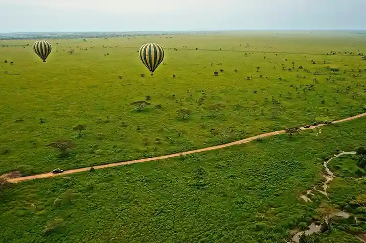 Serengeti Balloon Safari Experience