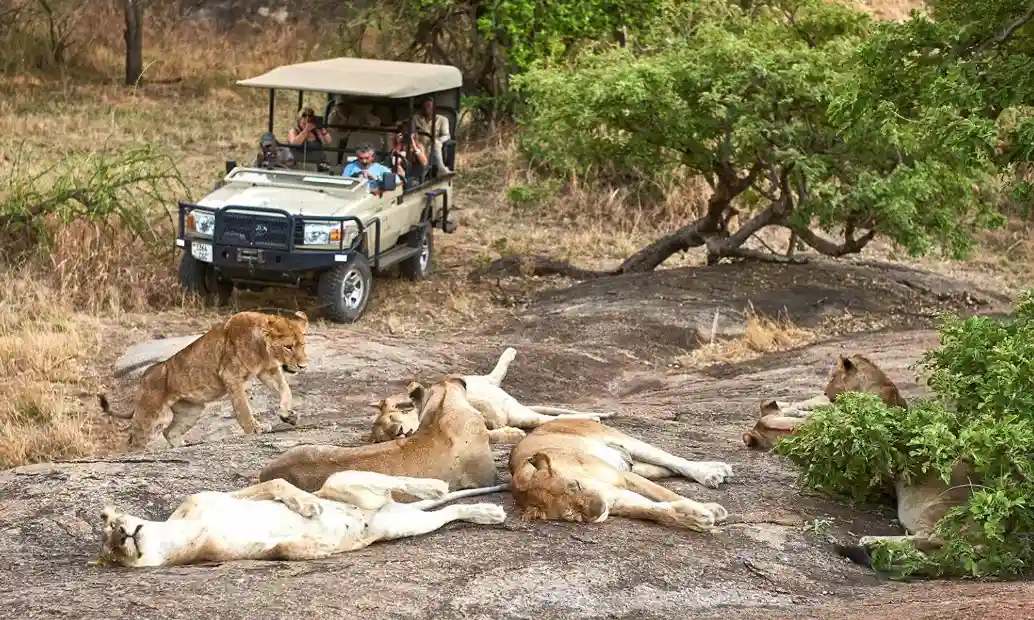 Serengeti Ngorongoro Tarangire and Lake Manyara safari vehicle in Tanzania